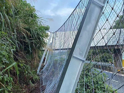 被动防护网图片5