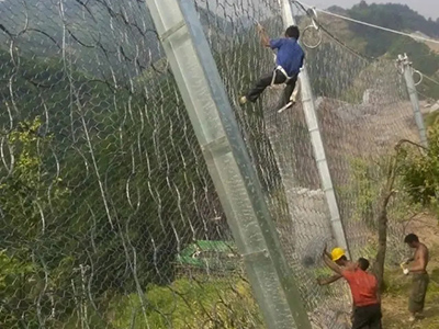山体防护网图片7