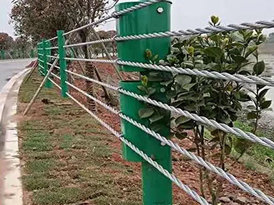 桥梁缆索护栏图片7