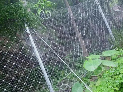 边坡防护网案例图片6