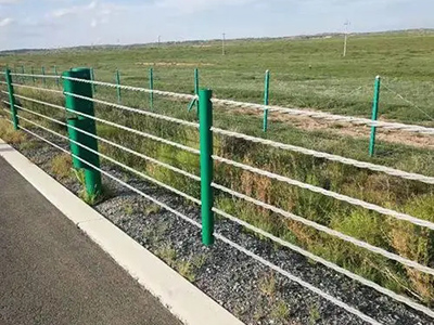 缆索护栏案例图片4